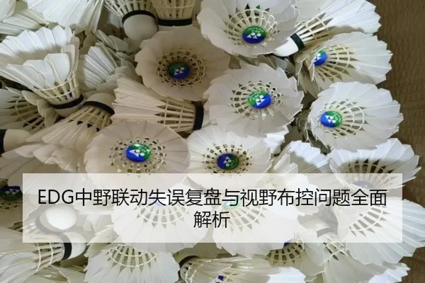 EDG中野联动失误复盘与视野布控问题全面解析